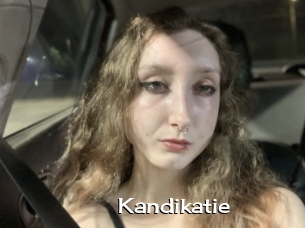 Kandikatie