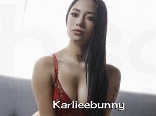 Karlieebunny