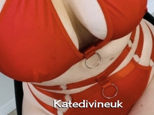 Katedivineuk