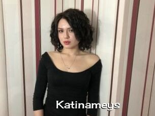 Katinameys