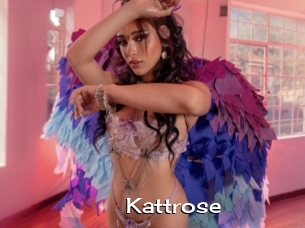 Kattrose