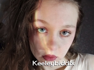 Keeleybiddix