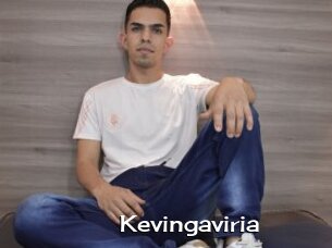 Kevingaviria