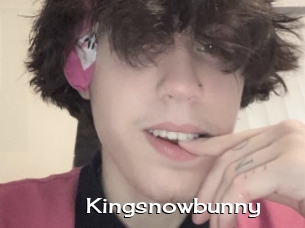 Kingsnowbunny