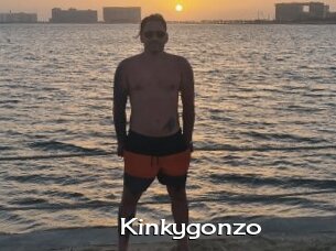 Kinkygonzo