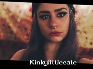 Kinkylittlecate