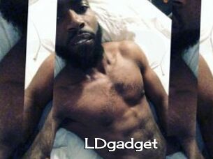 LDgadget