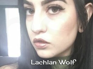 Lachlan_Wolf