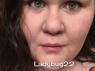 Ladybug22