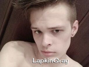 LapkinGray