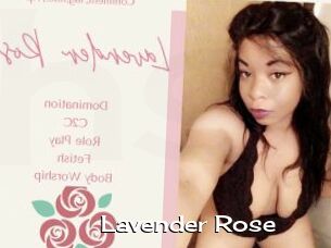 Lavender_Rose