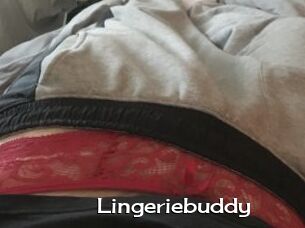 Lingeriebuddy