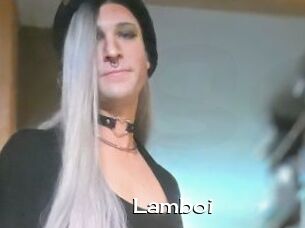 Lamboi