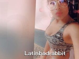 Latinbadrabbit