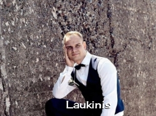 Laukinis