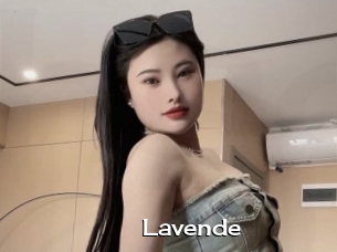 Lavende