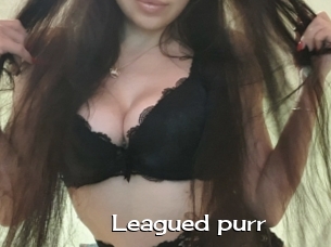 Leagued_purr