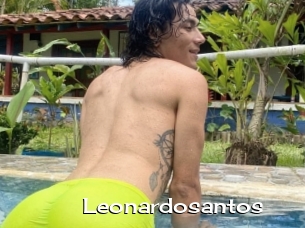 Leonardosantos