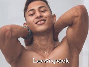 Leosixpack