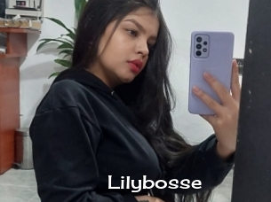 Lilybosse