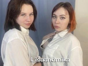 Lisaandmika