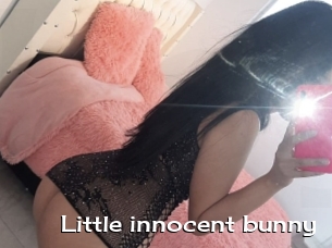 Little_innocent_bunny