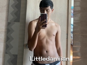 Littledamiian