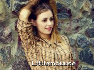 Littlemouuse