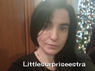 Littlesurpriseestra