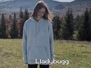 Lladybugg