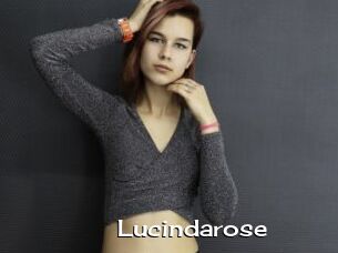 Lucindarose