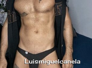 Luismiguelcanela