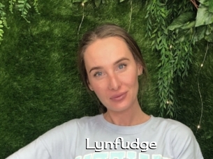 Lynfudge