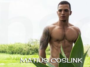 MATIUS_COSLINK