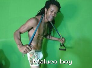 Maluco_boy