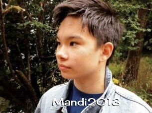 Mandi2013