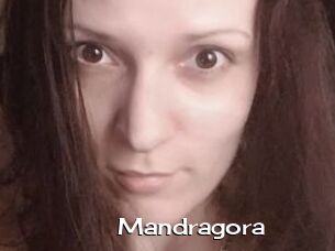 Mandragora