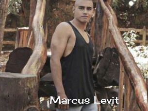 Marcus_Levit