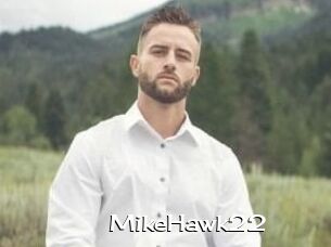 MikeHawk22