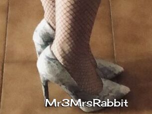 Mr3MrsRabbit