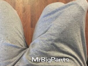 MrBigPants