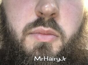 MrHairyJr