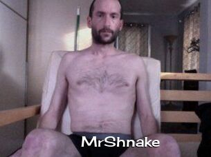 MrShnake