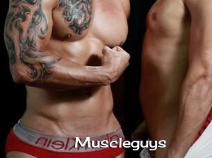 Muscleguys