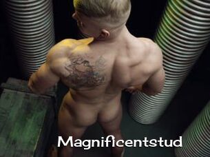 Magnificentstud