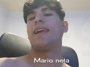 Mario_neta