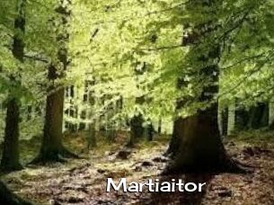 Martiaitor