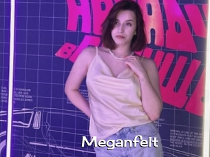 Meganfelt