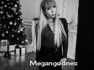 Megangodnes