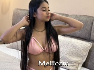 Meliicam